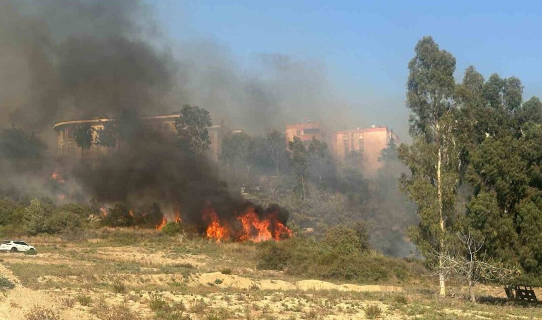 Adana’da yerleşim yerlerinin ortasında ağaçlık alanda çıkan yangın çevre sakinlerini