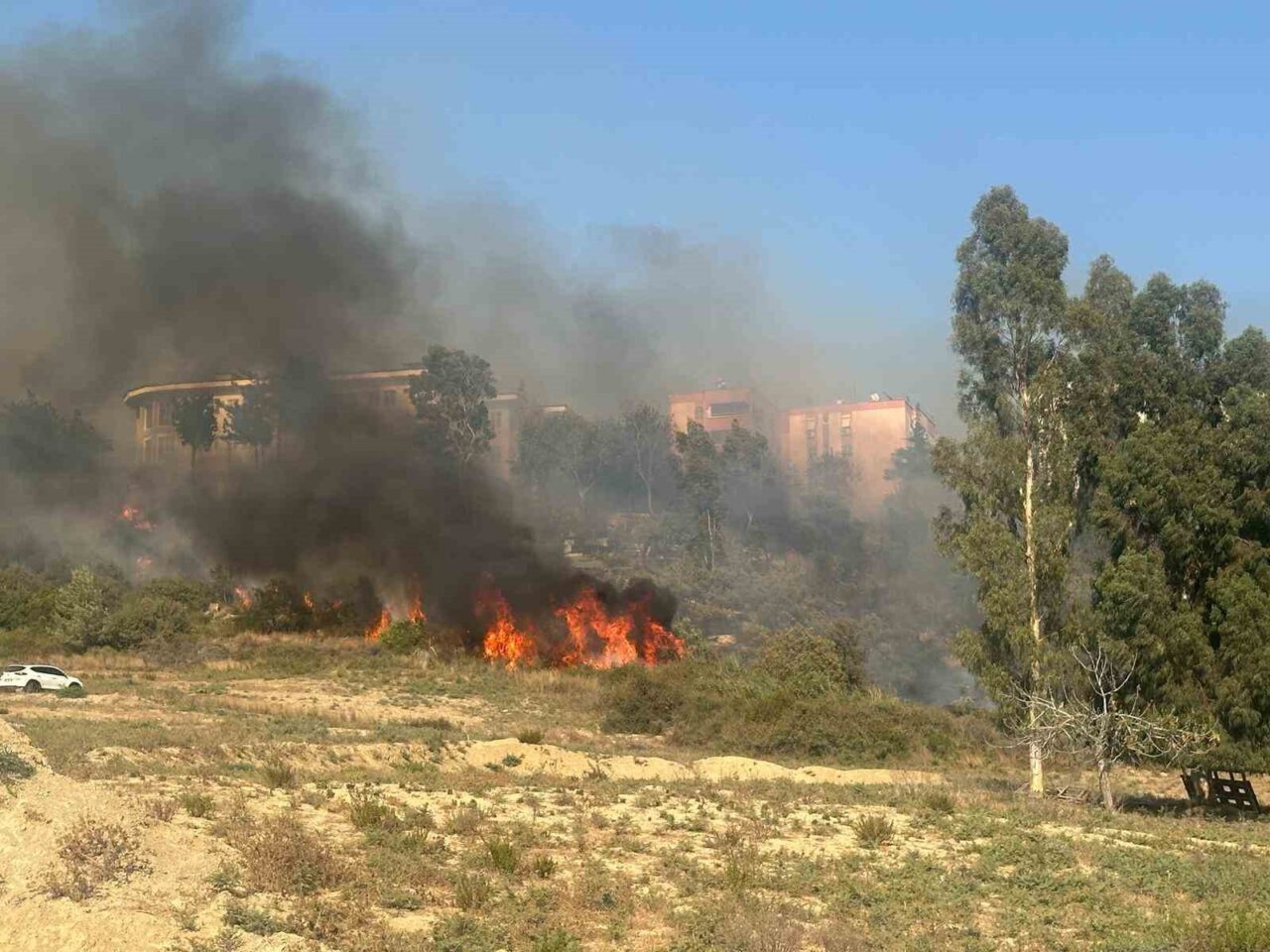 Adana’da yerleşim yerlerinin ortasında ağaçlık alanda çıkan yangın çevre sakinlerini