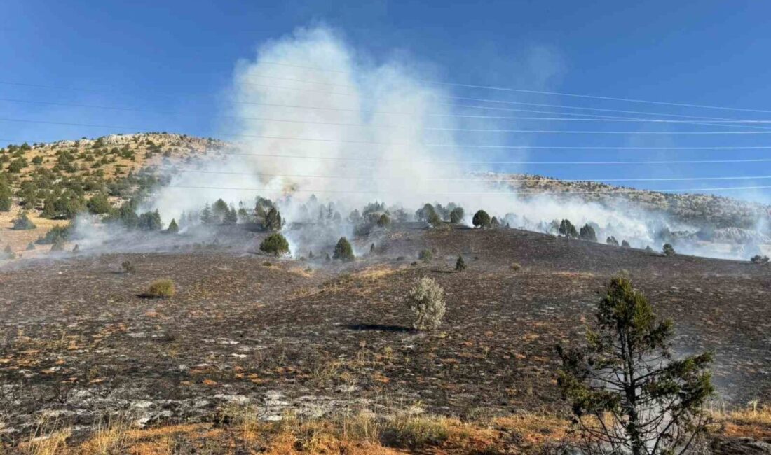 Adana’nın Tufanbeyli ilçesinde tarlada anızın yakılması sırasında ormana sıçarayan yangın,