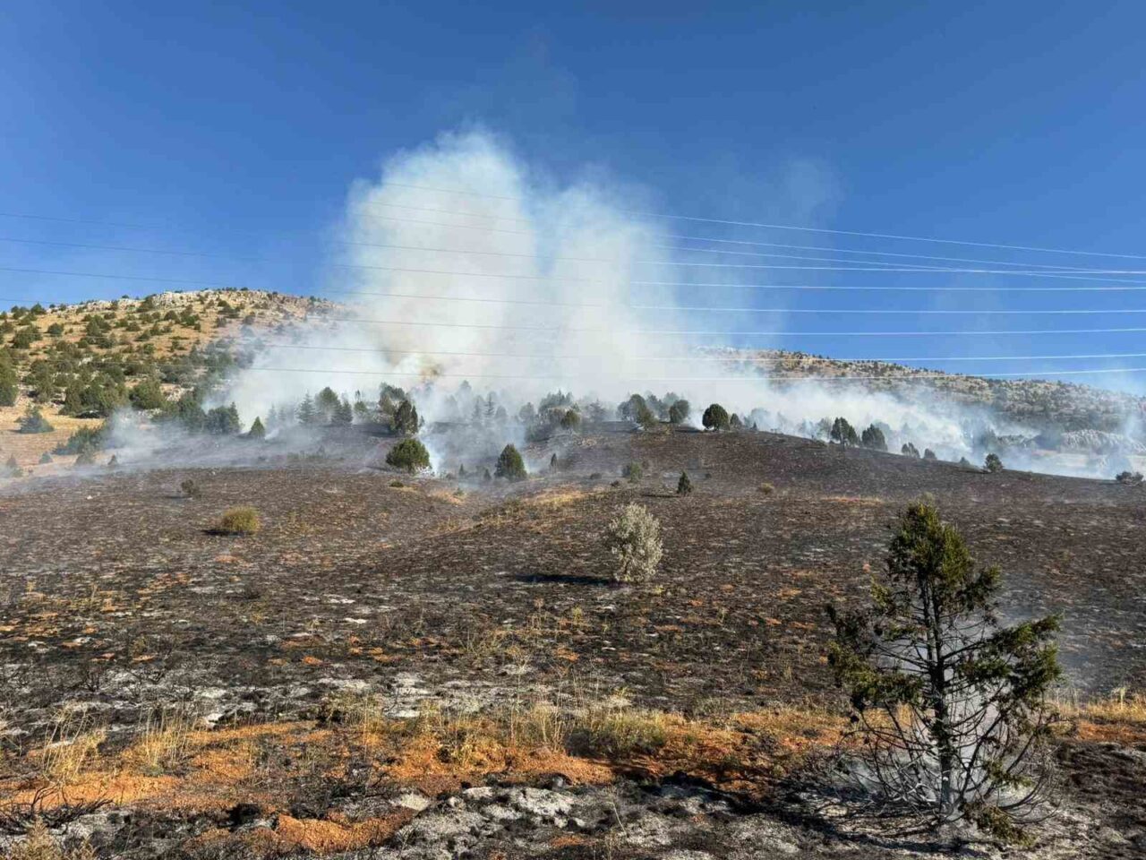 Adana’nın Tufanbeyli ilçesinde tarlada anızın yakılması sırasında ormana sıçarayan yangın,