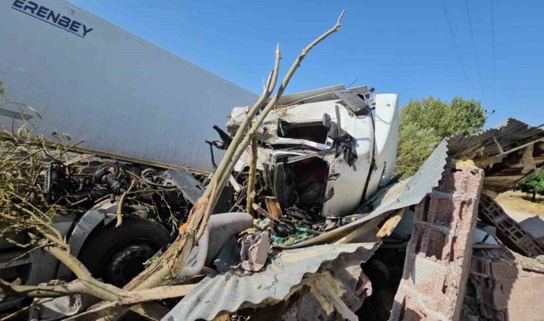 Bitlis’in Adilcevaz ilçesinde meyve suyu yüklü tırın derilmesi sonucu yaralanan