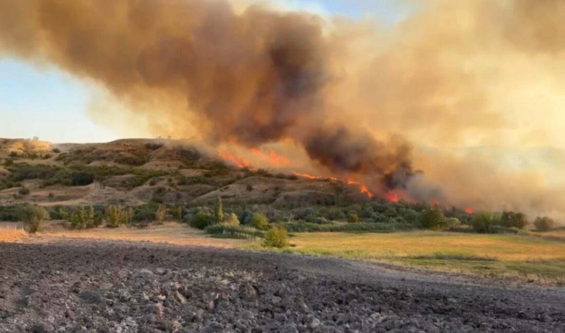Adıyaman’da anızlık alanda çıkan ve bahçelere sıçrayan yangın, karadan ve