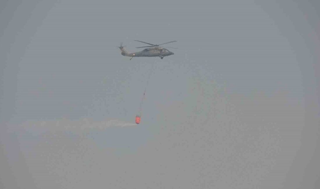 Adıyaman’da 200 hektarlık alanda çıkan yangın, hem karadan hem de