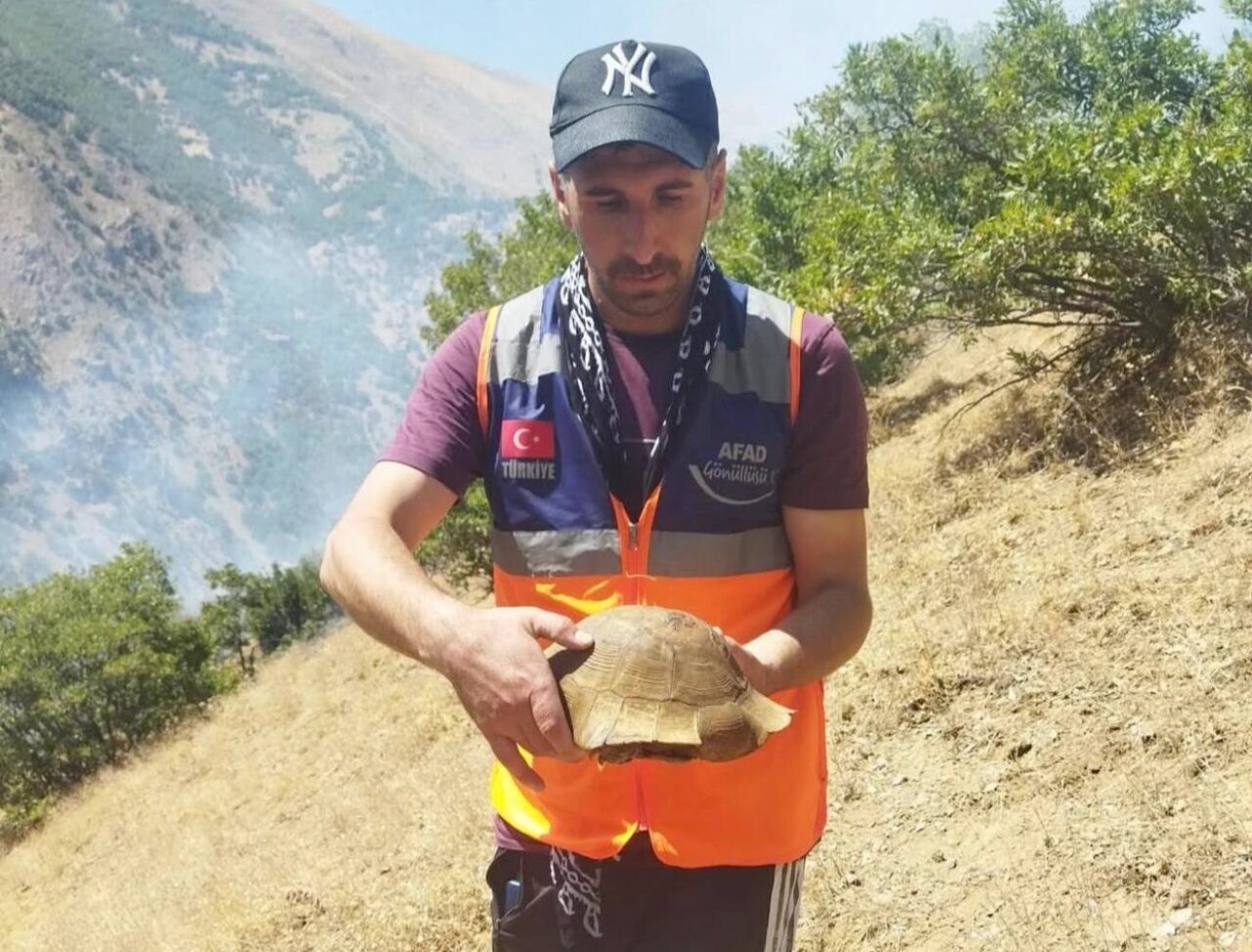 Hakkari’nin Şemdinli ilçesi kırsalında çıkan yangında, alevlerin arasında kalan kaplumbağa