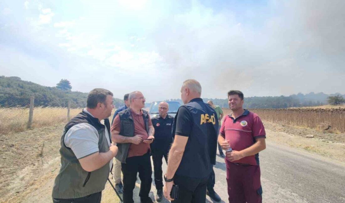 Çanakkale’nin Gelibolu ilçesinde çıkan orman yangınına Orman Bölge Müdürlüğü ekipleri