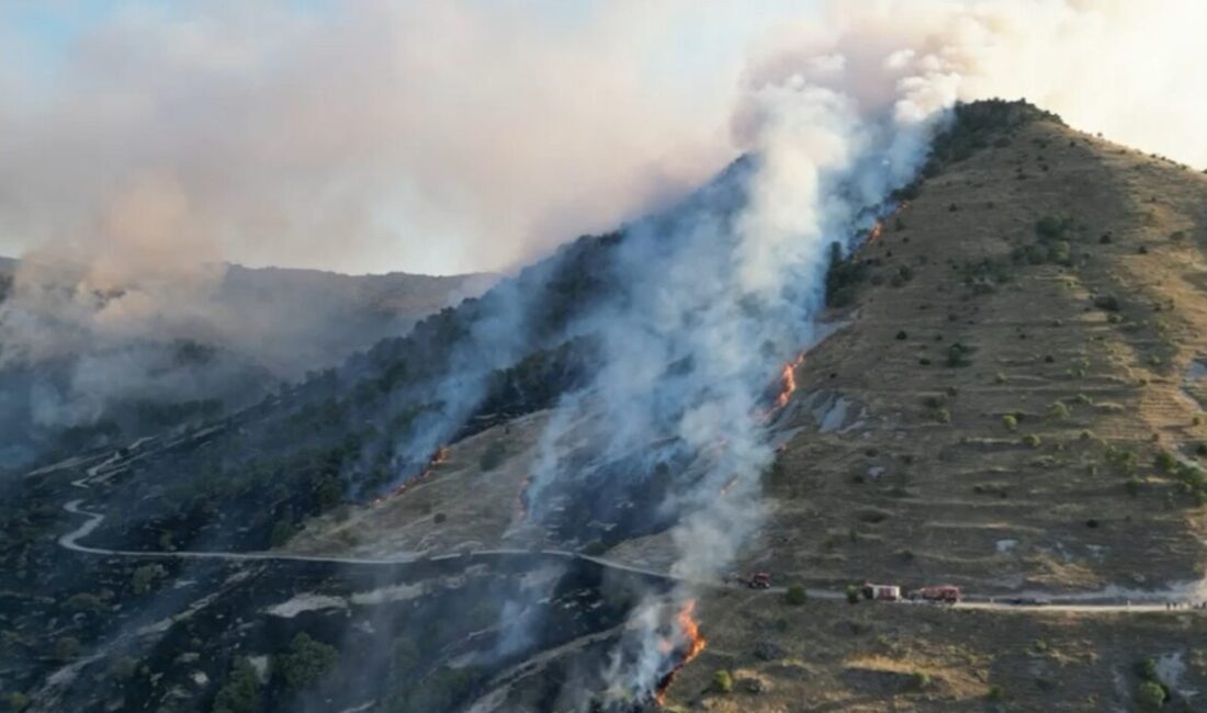 Afyonkarahisar’da ormanlık alanda çıkan yangın kontrol altına alınırken, yaklaşık 150