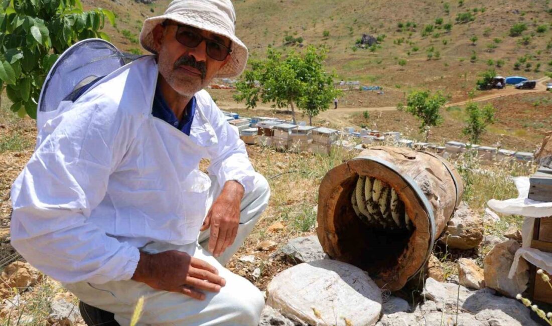 Kahramanmaraş’ın Engizek Yaylası’nda arıcılık yapan üretici, kovanlarının yanına bıraktığı boş