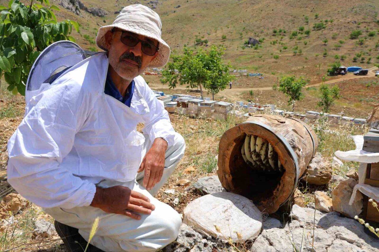 Kahramanmaraş’ın Engizek Yaylası’nda arıcılık yapan üretici, kovanlarının yanına bıraktığı boş