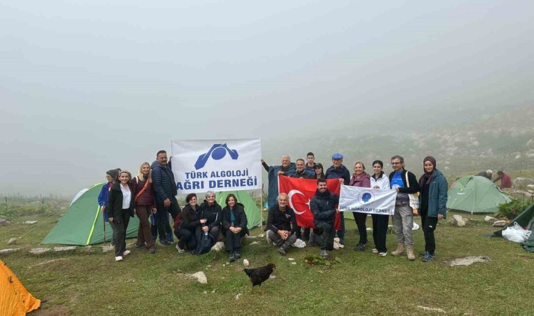 Türk Nöroloji Derneği ve Türk Algoloji Derneği, kronik ağrı konusunda