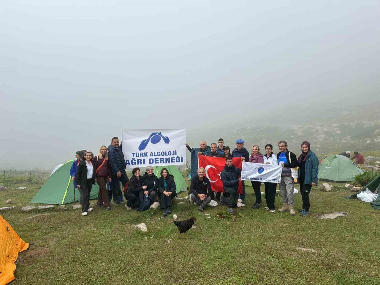 Türk Nöroloji Derneği ve Türk Algoloji Derneği, kronik ağrı konusunda