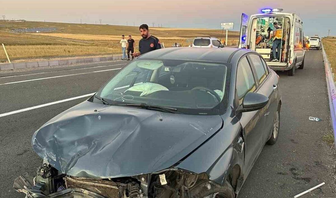 Ağrı’da dönüş yasağı bulunan noktada hatalı manevra sonucu iki otomobil