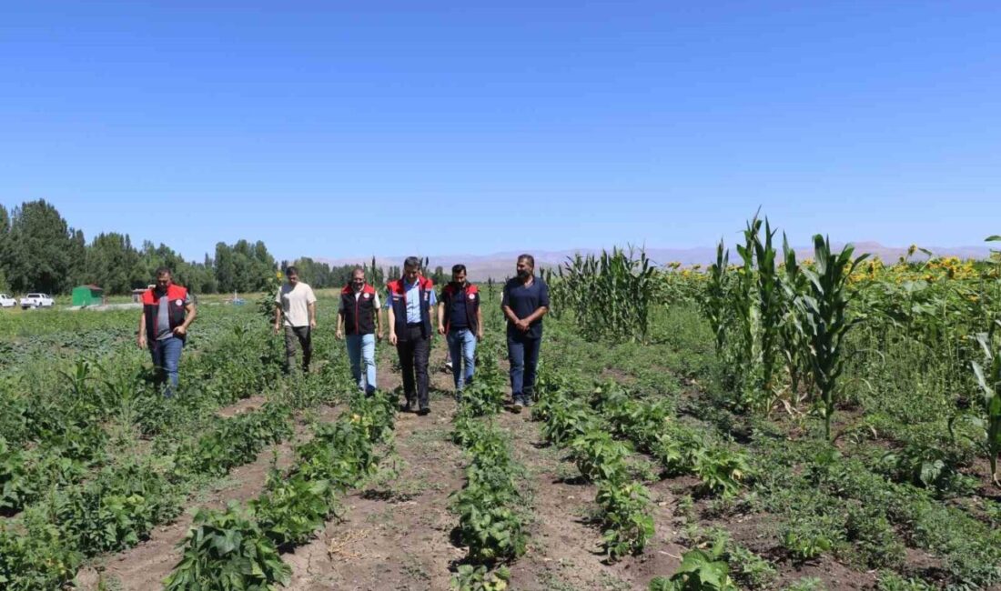 Ağrı İl Tarım ve Orman Müdürlüğü, Tarım ve Orman Bakanlığı