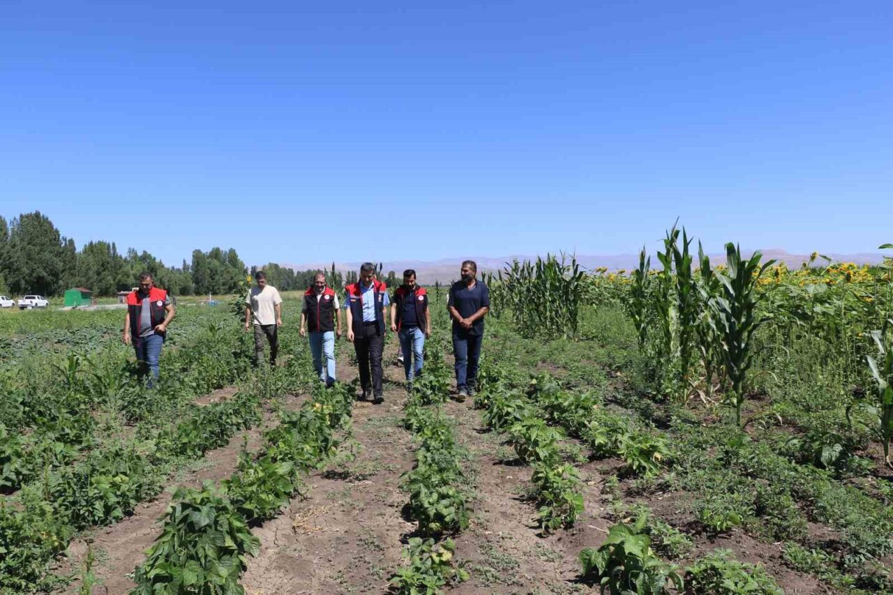 Ağrı İl Tarım ve Orman Müdürlüğü, Tarım ve Orman Bakanlığı