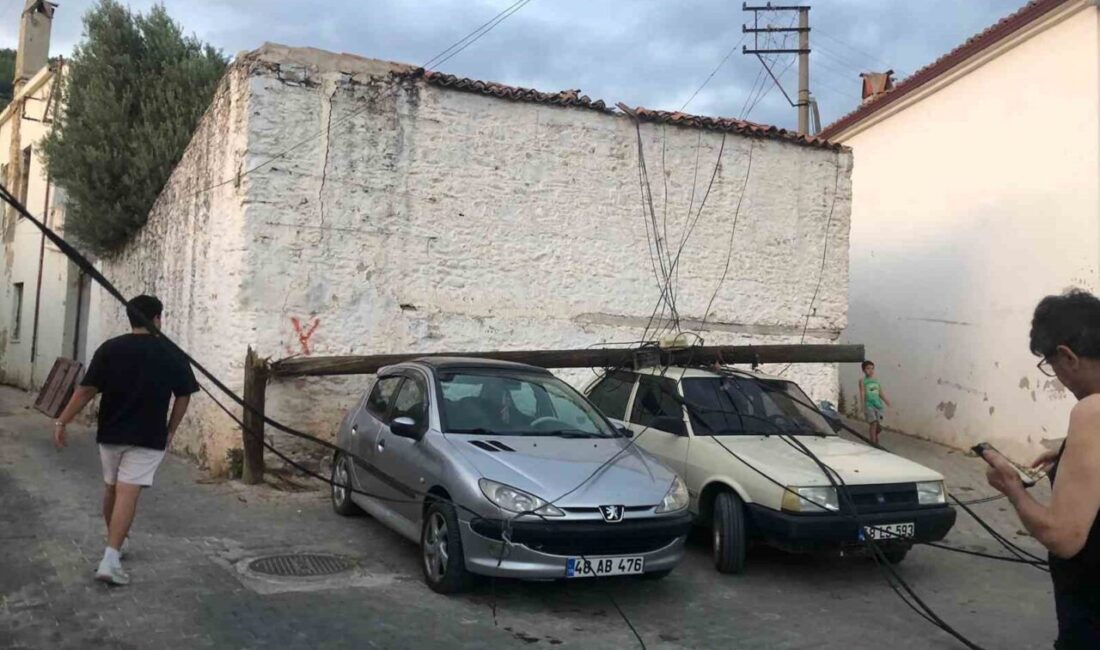 Menteşe Emirbeyazıt Mahallesi’nde bulunan ahşap direk, park halindeki iki otomobilin