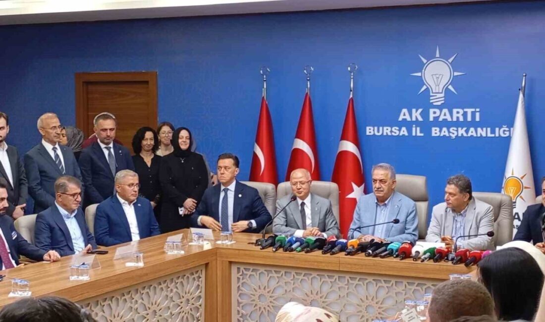 AK Parti Genel Başkan Yardımcısı ve Siyasi ve Hukuki İşler