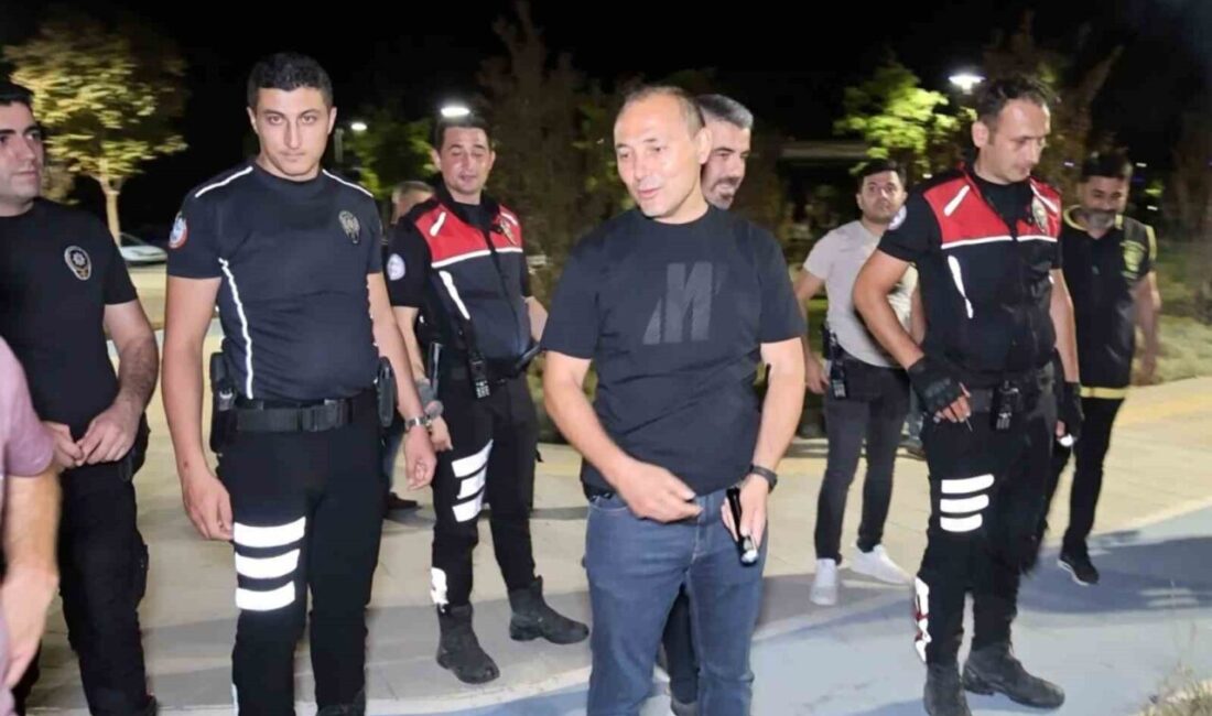 Türkiye’nin bazı illerinde yaşanan orman yangınlarında ormanlık alanlar büyük zarar