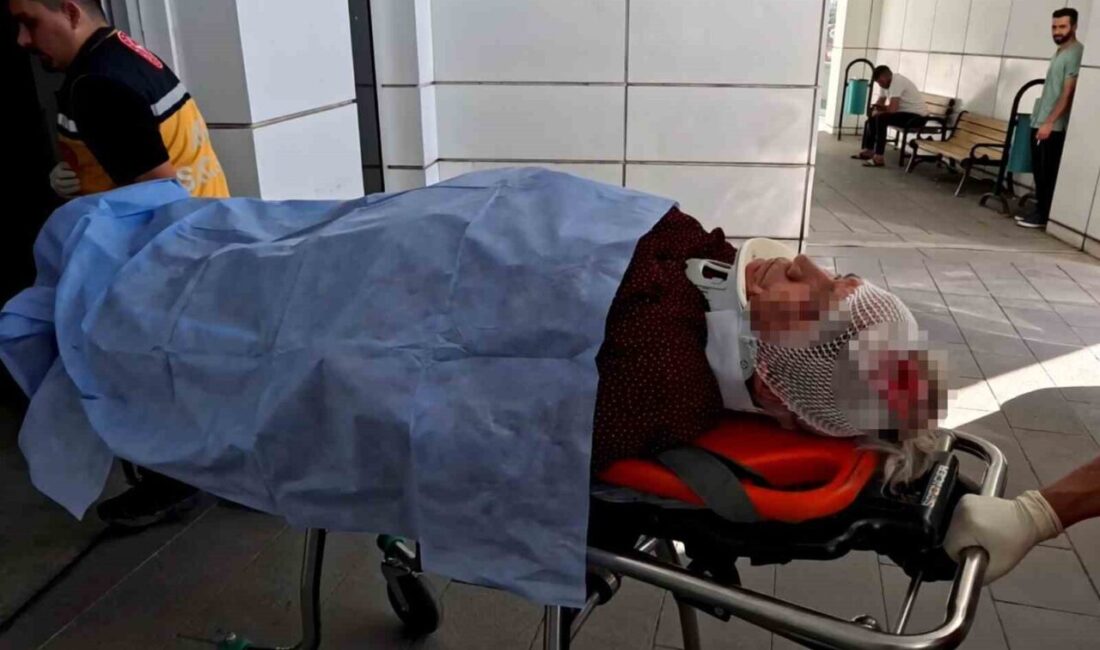 Aksaray’da kamyonet ile otomobilin çarpışması sonucu meydana gelen trafik kazasında