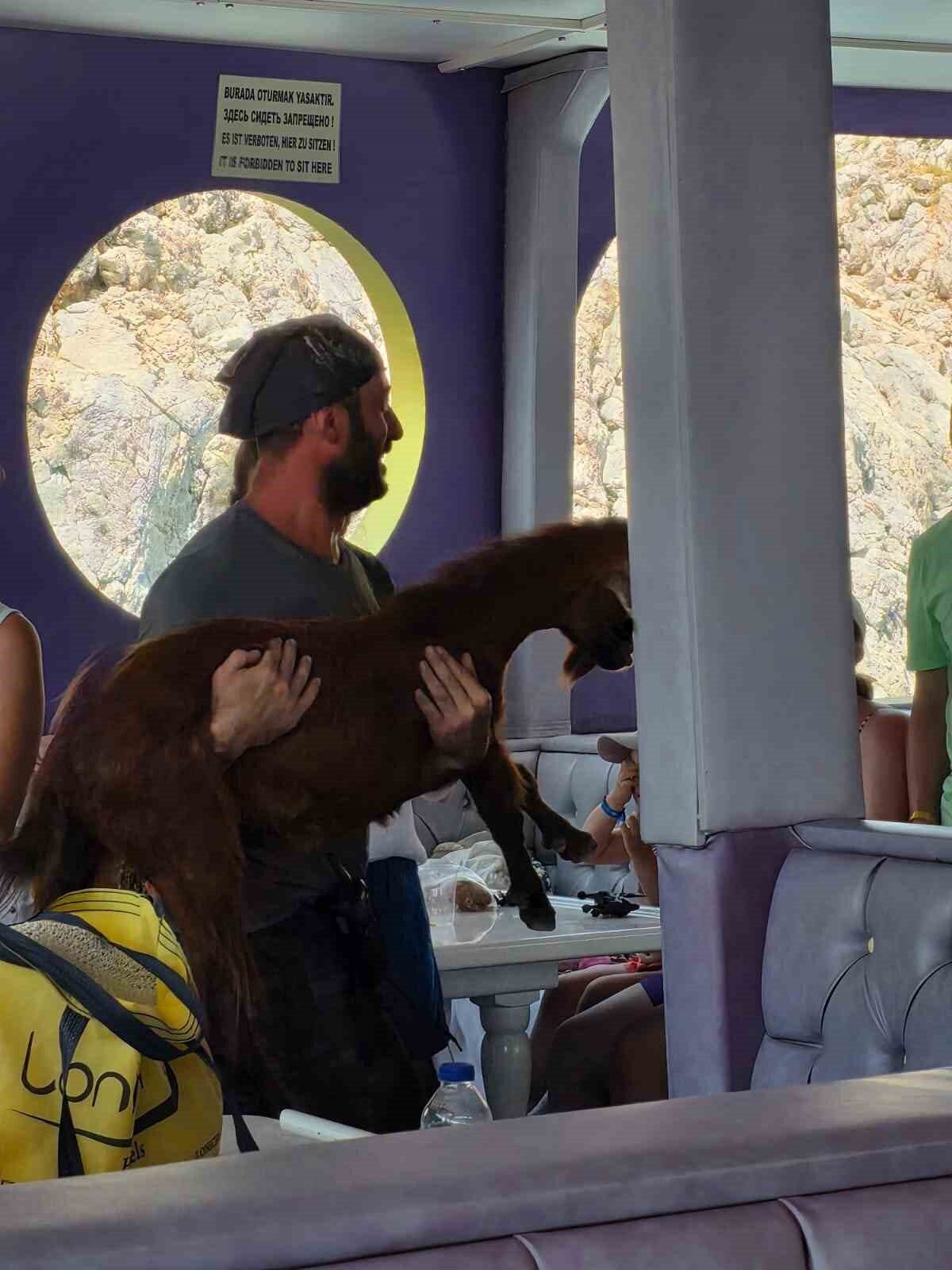 Antalya’nın Alanya ilçesinde, Alanya Kalesi açıklarında 3 gündür kayalık alanda