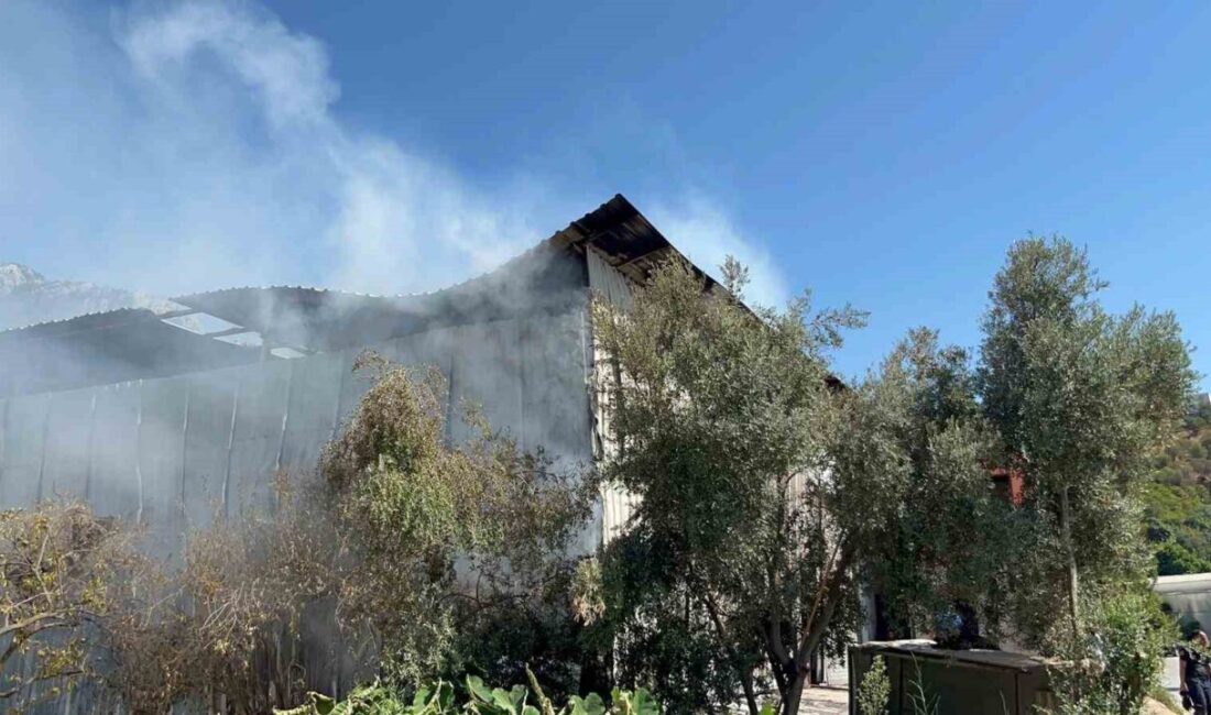 Antalya’nın Alanya ilçesinde bir mobilya atölyesinde çıkan yangın paniğe neden