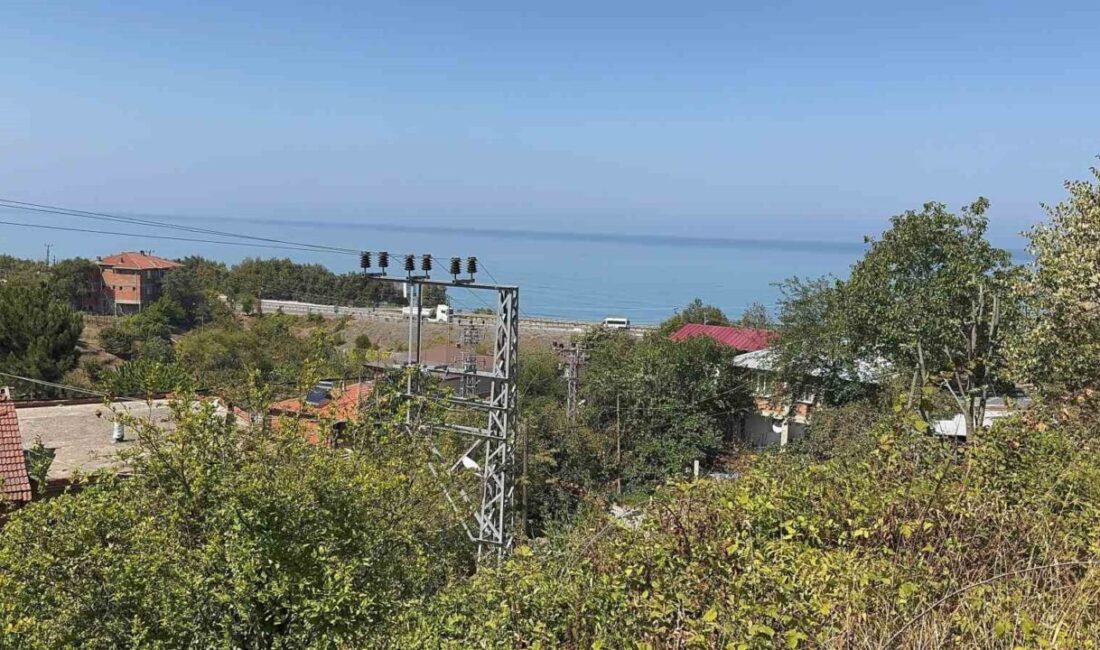 ZONGULDAK (İHA) – Zonguldak’ın Alaplı ilçesinde 100 yıllık geçmişe sahip