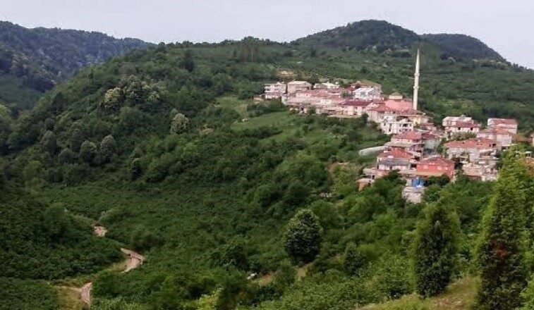 Zonguldak’ın Alaplı ilçesinde, köylerinden ayrılarak yeni kurulan 5 köyün muhtar
