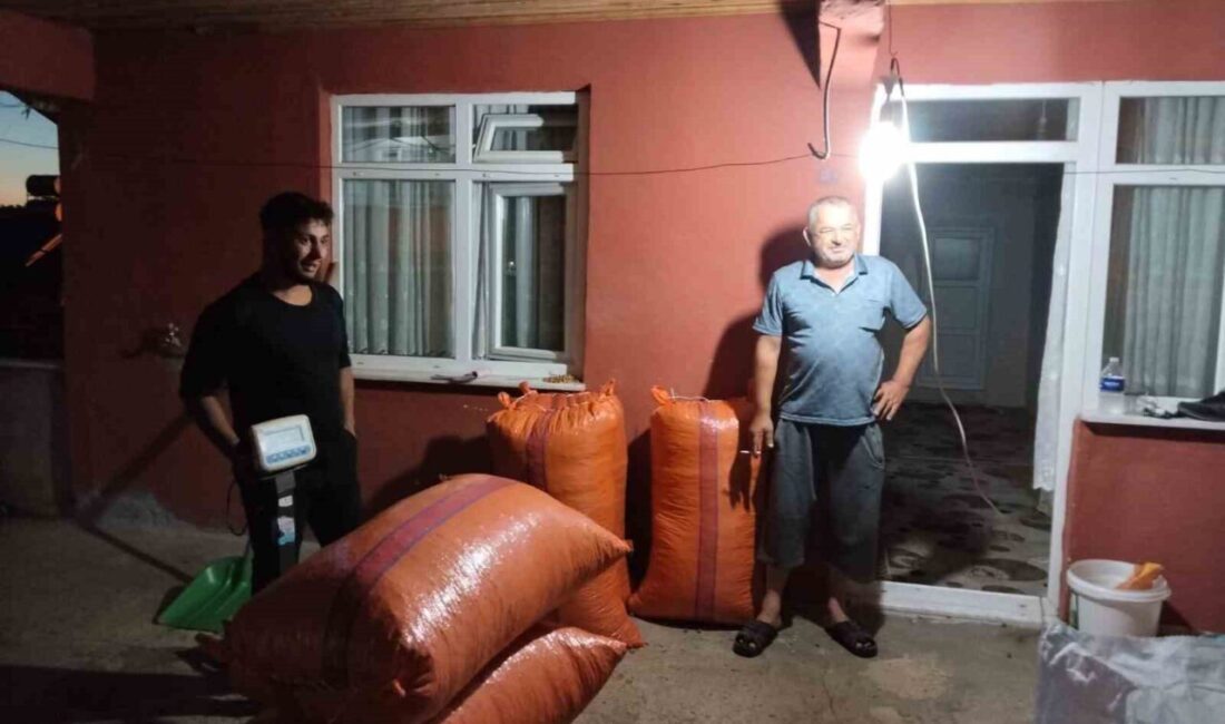 Zonguldak’ın Alaplı ilçesinde yılın ilk fındık mahsulü bir tüccar tarafından