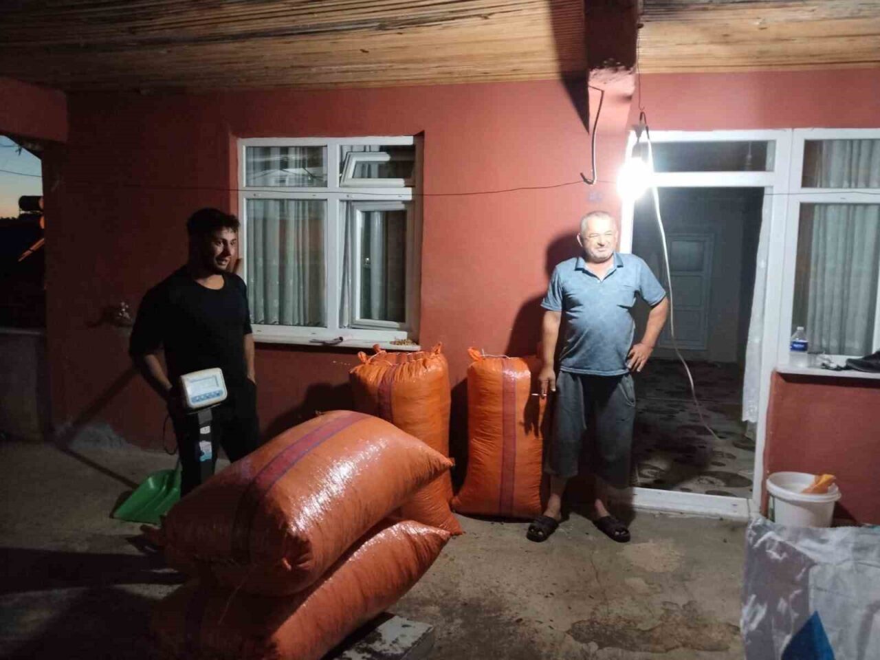 Zonguldak’ın Alaplı ilçesinde yılın ilk fındık mahsulü bir tüccar tarafından