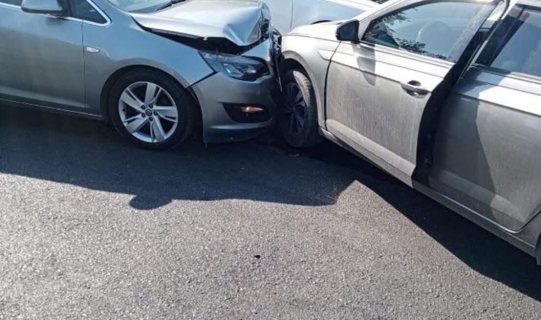 Zonguldak’ın Alaplı ilçesi Bektaşlı köyü mevkiinde iki otomobil kafa kafaya