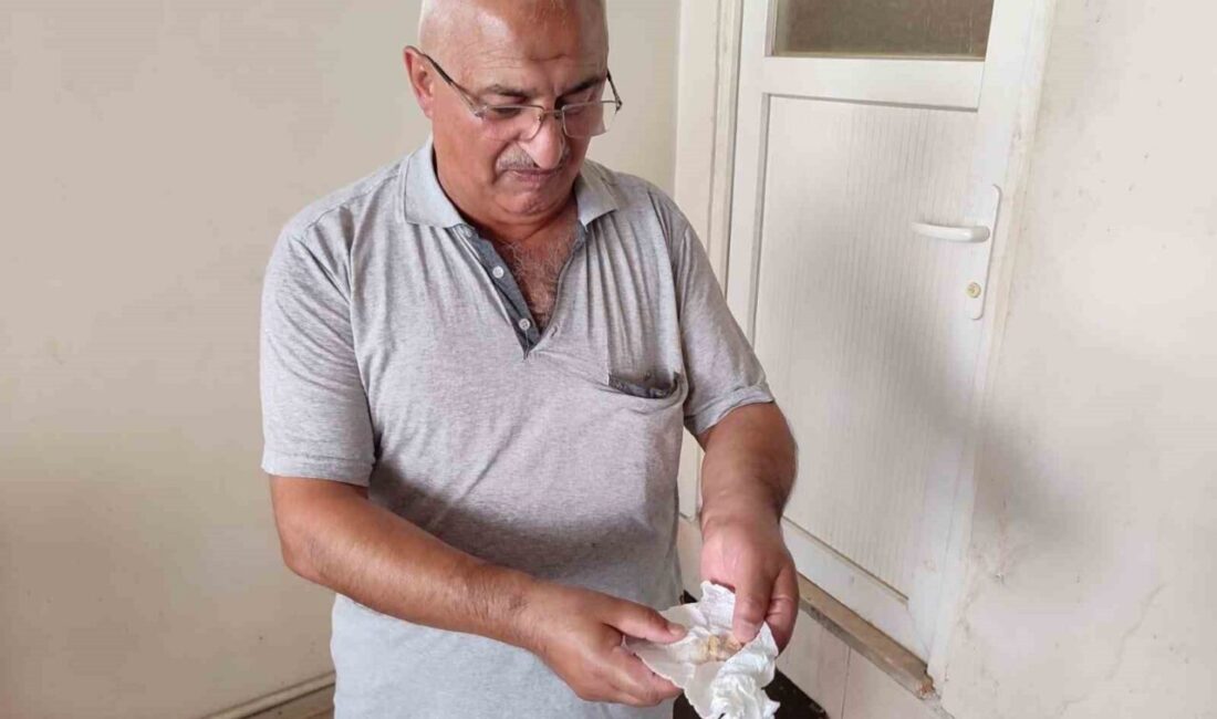 Sinop’ta ikamet eden Halit Bostan isimli vatandaş, öğlen yemeği için