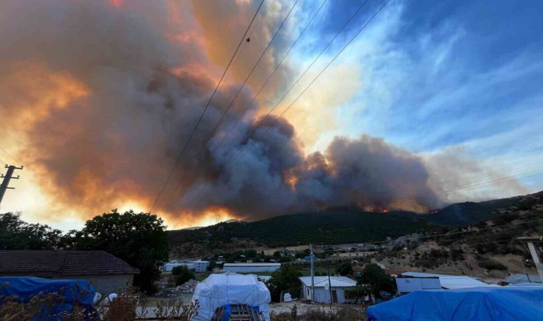 Bursa’nın Yenişehir ilçesinde çıkan orman yangınları Fethiye ve Seymen köyleri