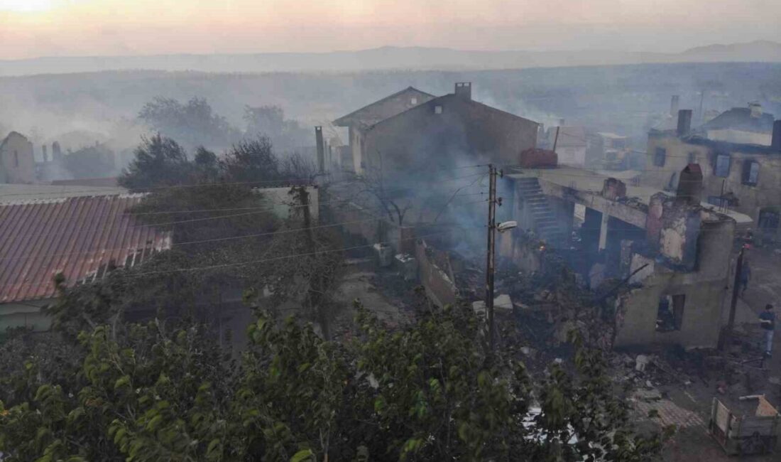 Çanakkale’nin Bayramiç ilçesinde çıkan orman yangınında, boşaltıldıktan sonra alevlere teslim