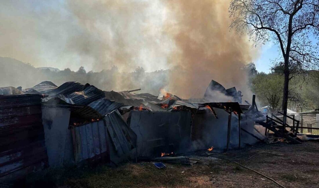 Sakarya’nın Kocaali ilçesinde samanlıkta çıkan yangın itfaiye ekiplerince söndürüldü. Yangında,