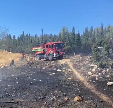 İzmir’in Aliağa ilçesinde ormanlık alanda çıkan yangın, vatandaşların ihbarı ve