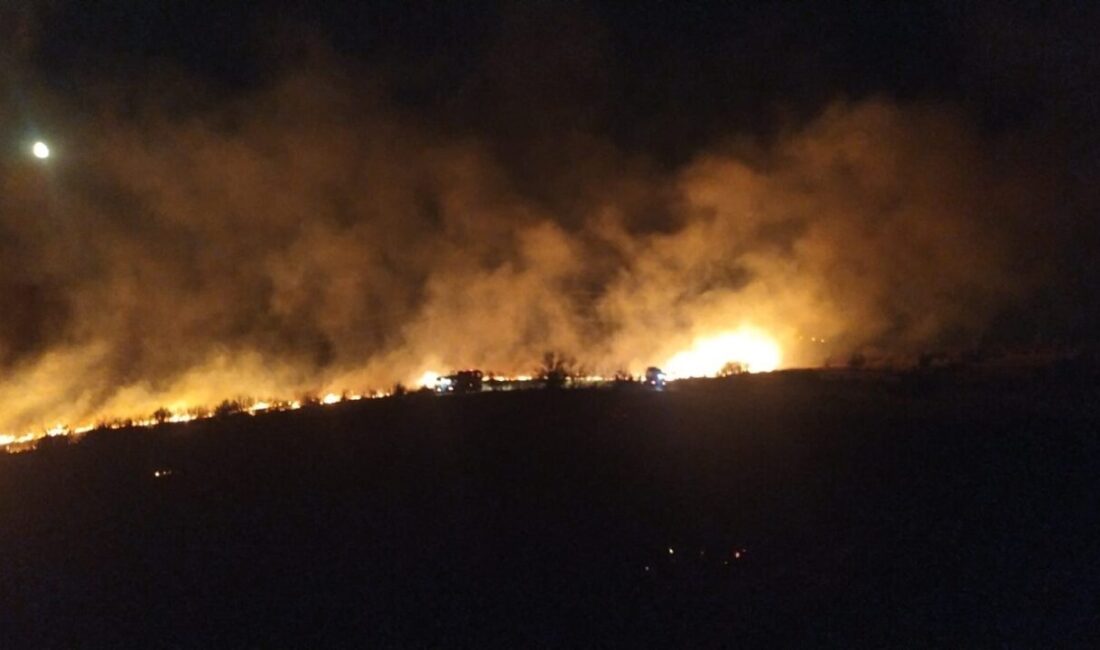 İzmir’in Aliağa ilçesinde otluk alanda çıkan yangın, ekiplerin müdahalesiyle söndürüldü.