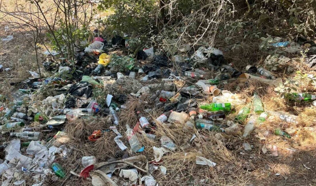 Bilecik’te alkol alan şahısların, atıkları ile ormanlık alanı adeta çöplüğe
