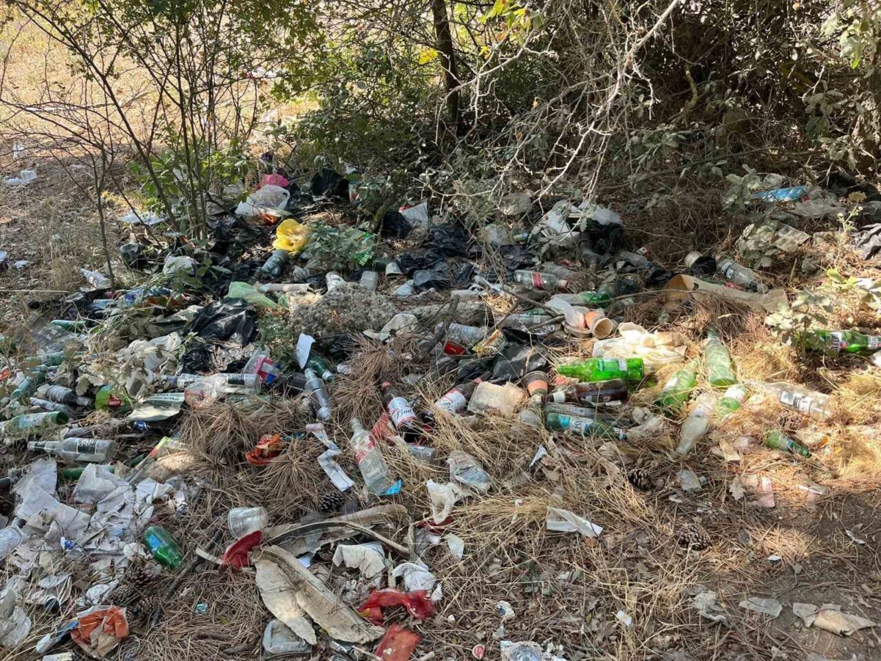 Bilecik’te alkol alan şahısların, atıkları ile ormanlık alanı adeta çöplüğe