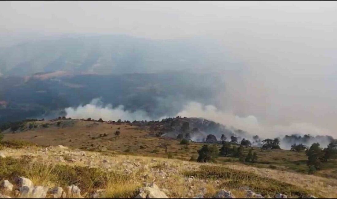 Amasya’nın merkez ilçesine bağlı Kızılkışlacık köyü Başyurt Yaylası’nda çıkan orman