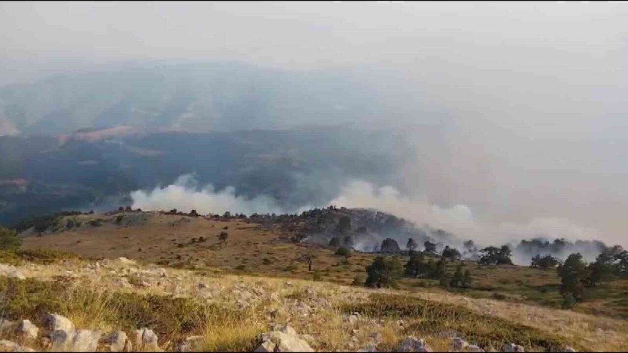 Amasya’nın merkez ilçesine bağlı Kızılkışlacık köyü Başyurt Yaylası’nda çıkan orman