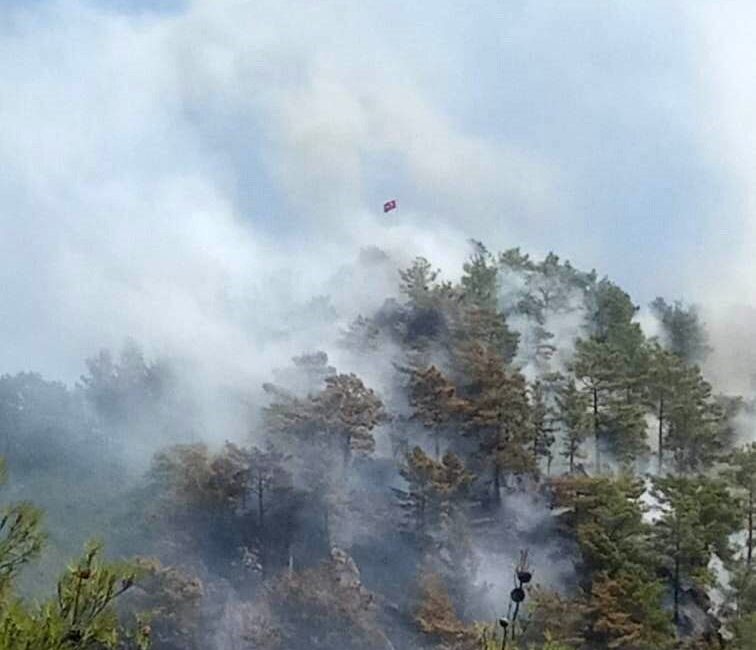 Mersin’in Anamur ilçesinde ormanlık alanda çıkan yangına havadan ve karadan