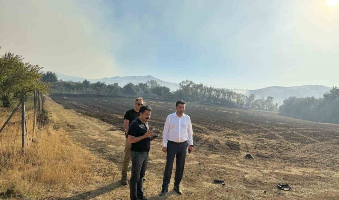 Kırşehir’in Kaman ilçesine bağlı Kurancılı Başköy mevkiinde çıkan orman yangını,