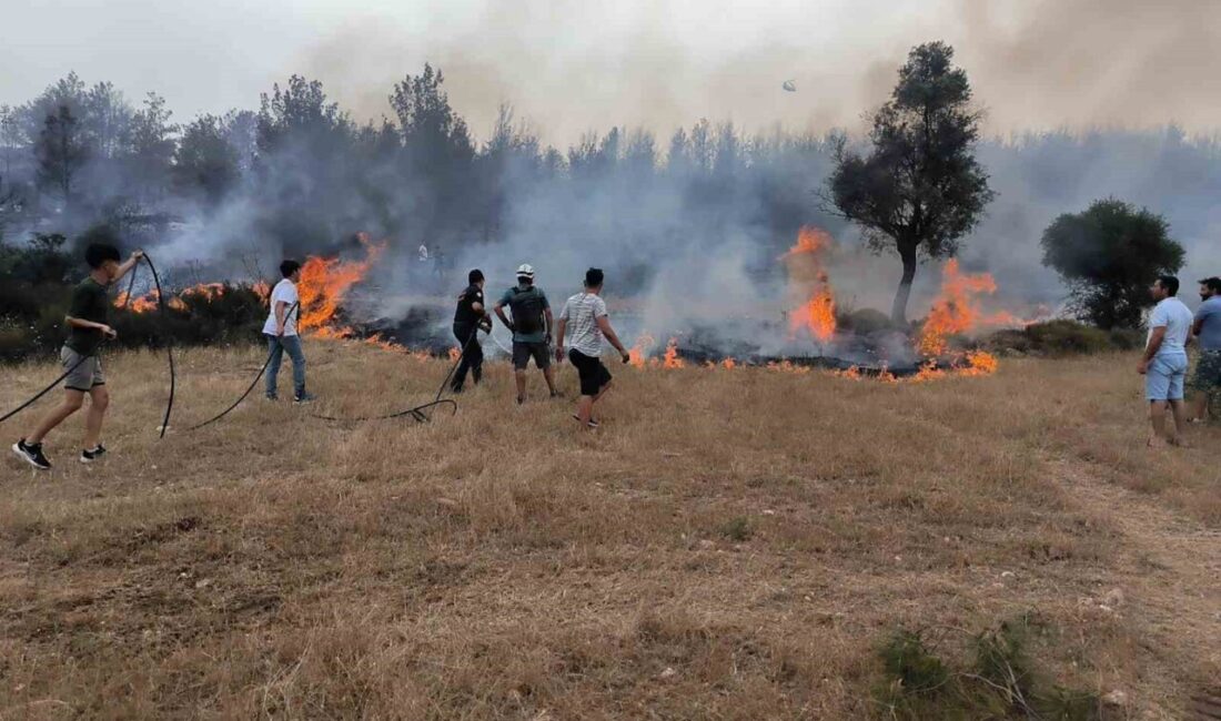 Muğla Büyükşehir Belediyesi il genelinde anız yangınları konusunda vatandaşları bir