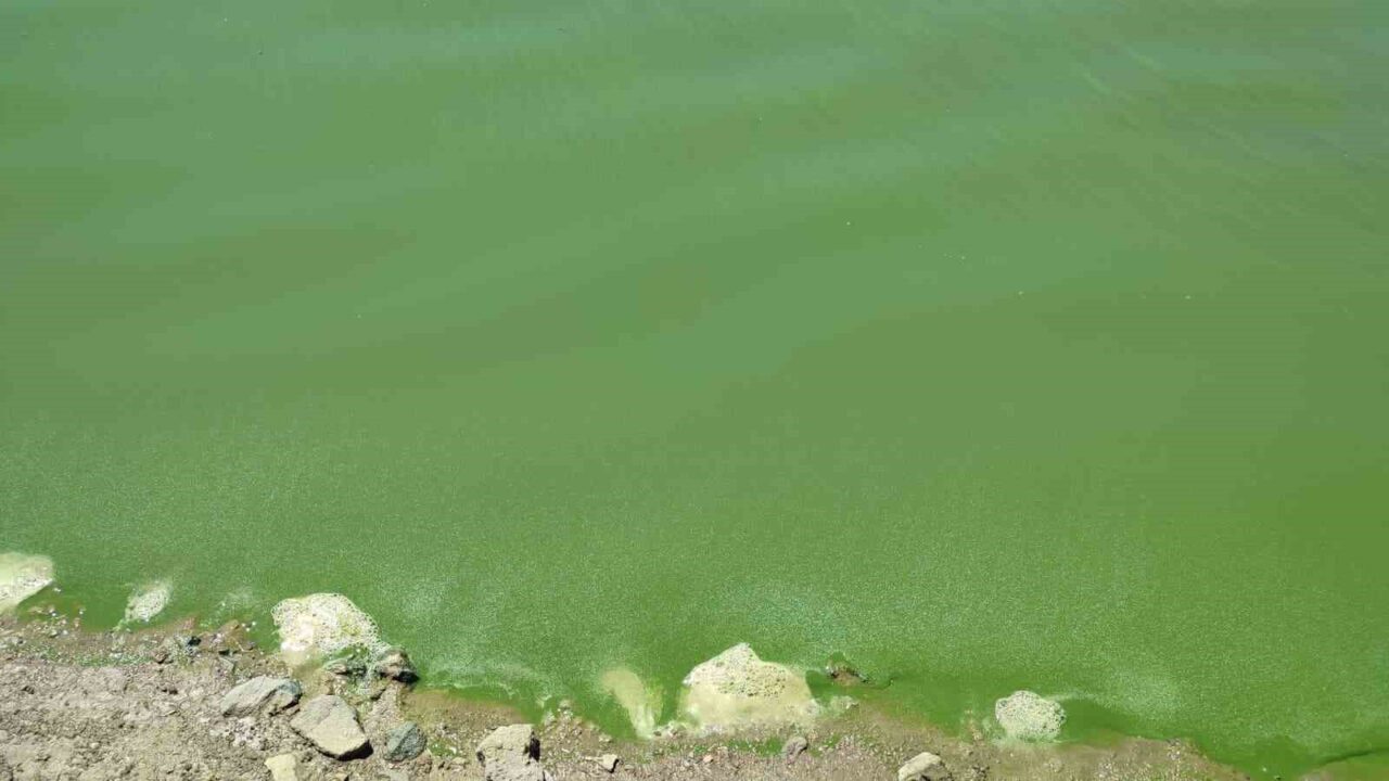 Ankara’da kuraklık ve mevsim normallerinin üzerinde seyreden sıcaklık nedeniyle baraj