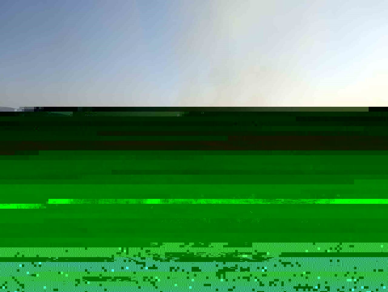 Ankara’nın Ayaş ilçesinde otluk alanda çıkan yangın söndürüldü. Ayaş’a bağlı