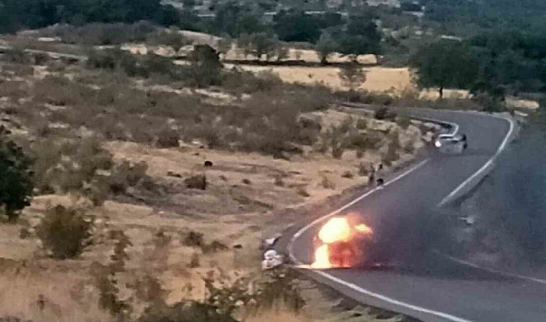 Ankara’nın Güdül ilçesinde seyir halindeki otomobilde çıkan yangın tarlaya sıçradı.