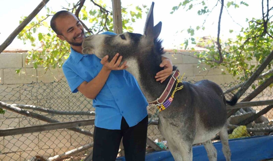 Gaziantep’te yaşayan Ömer Sezgin, sosyal medyada gördüğü, annesi ölen yavru