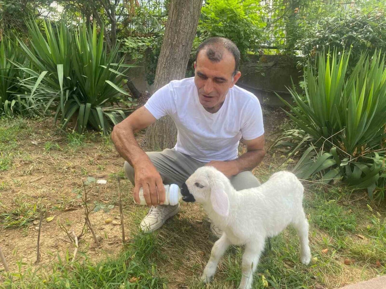 Üsküdar’da yaşayan hayvansever Rasim Yurdagelen, annesini kaybeden 12 günlük yavru