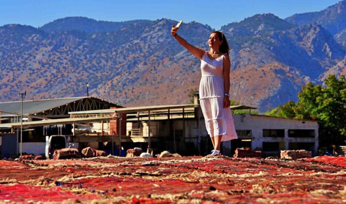 Antalya’da kışın buğday ekilen tarlalara yaz aylarında Türkiye’nin dört bir