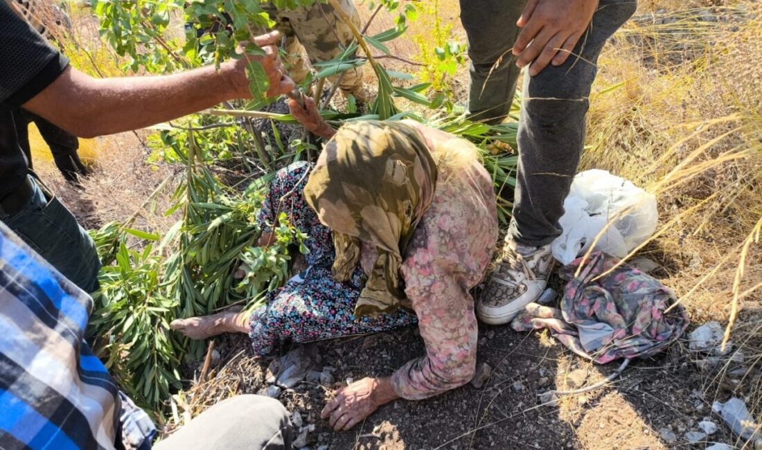 Antalya’nın Gündoğmuş ilçesinde kaybolan Alzheimer hastası yaşlı kadın, 2 gün