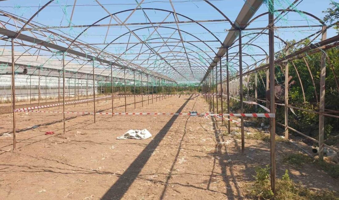 Antalya’nın Finike ilçesinde serada çalıştığı sırada silahlı saldırıya uğrayan 2