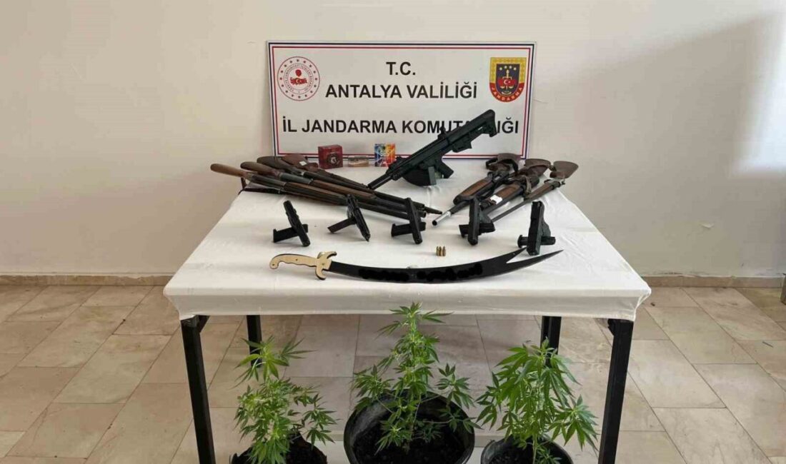 Antalya’nın Serik ilçesinde jandarma ekiplerinin düzenlediği operasyonda çok sayıda ruhsatsız